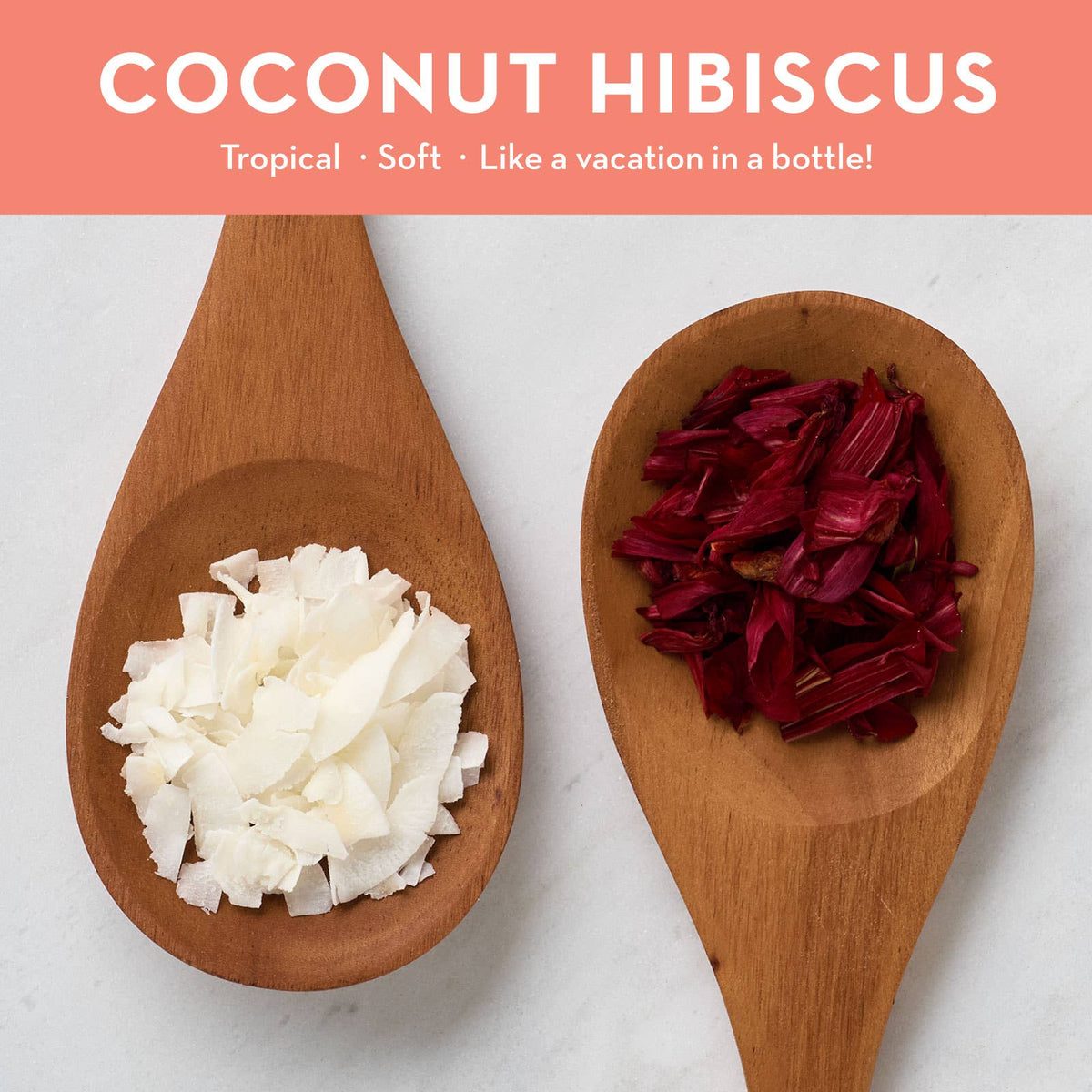 2oz Coconut Hibiscus Hand & Body Wash - Zoja Beauty - DANI Naturals