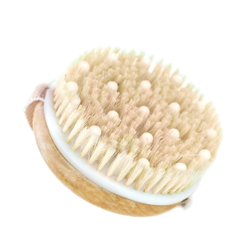 Dry Brushing Body Brush With Cellulite Massager - Zoja Beauty - Beauty By Earth