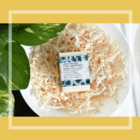 Solid Dish Soap: Lemongrass - Zoja Beauty - Tiani Body Care