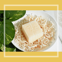 Solid Dish Soap: Lemongrass - Zoja Beauty - Tiani Body Care