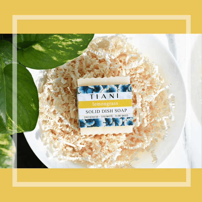 Solid Dish Soap: Lemongrass - Zoja Beauty - Tiani Body Care